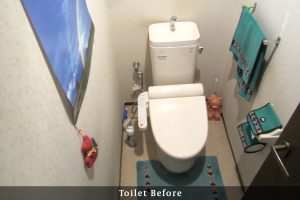 toilet_before
